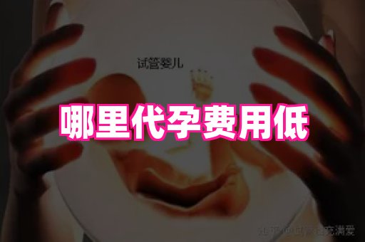 成都助孕网站 2